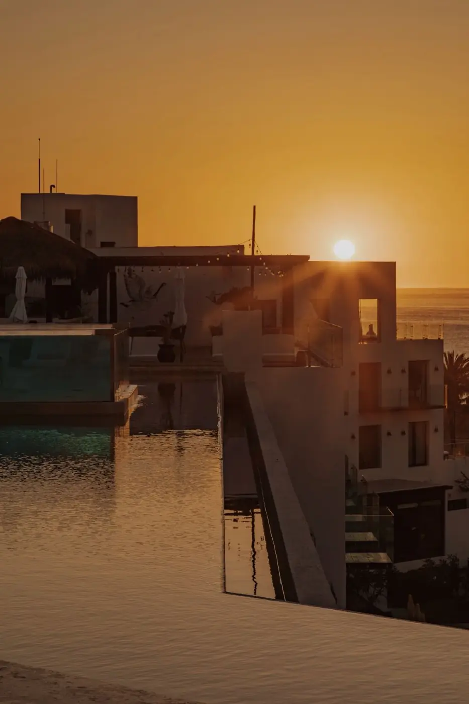 The rooftop infinity pool at sunrise