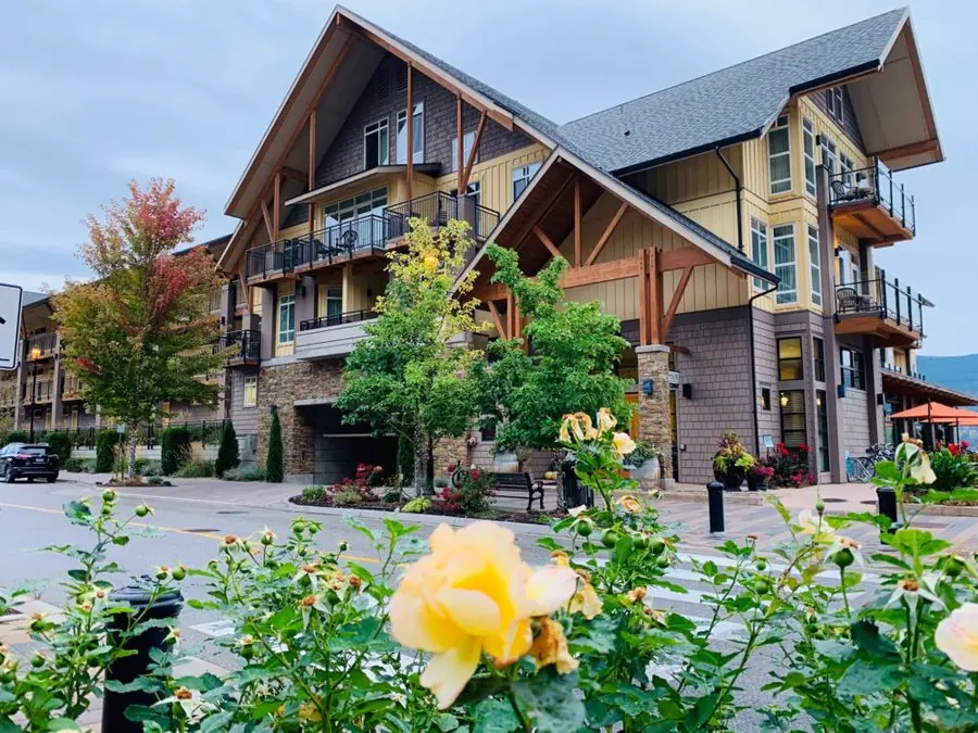 The resort from the street, framed by roses